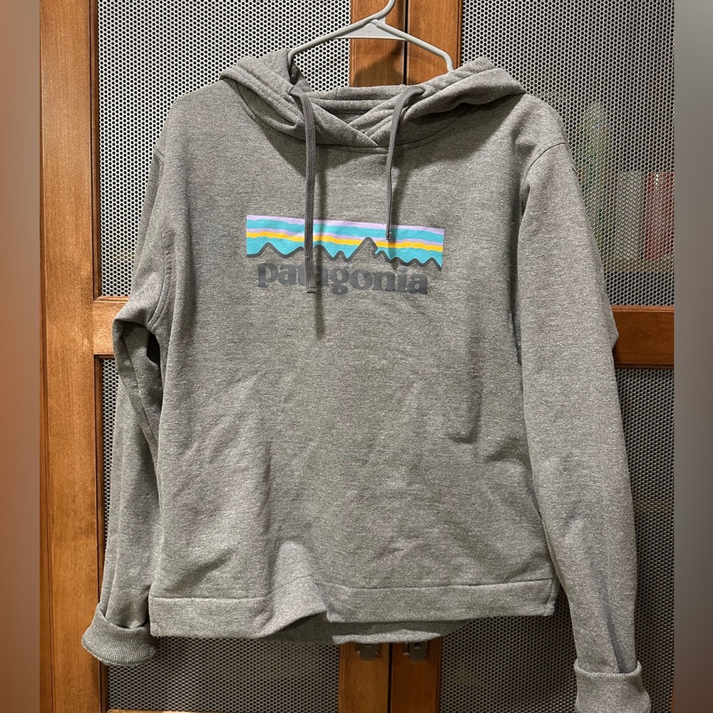 Patagonia Pastel Gravel Heather Hoodie Women's M